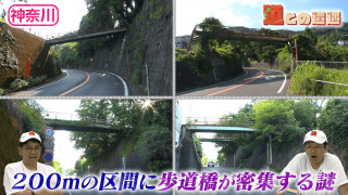 【神奈川・湯河原】温泉地に潜む4本の“謎の歩道橋”【道との遭遇】